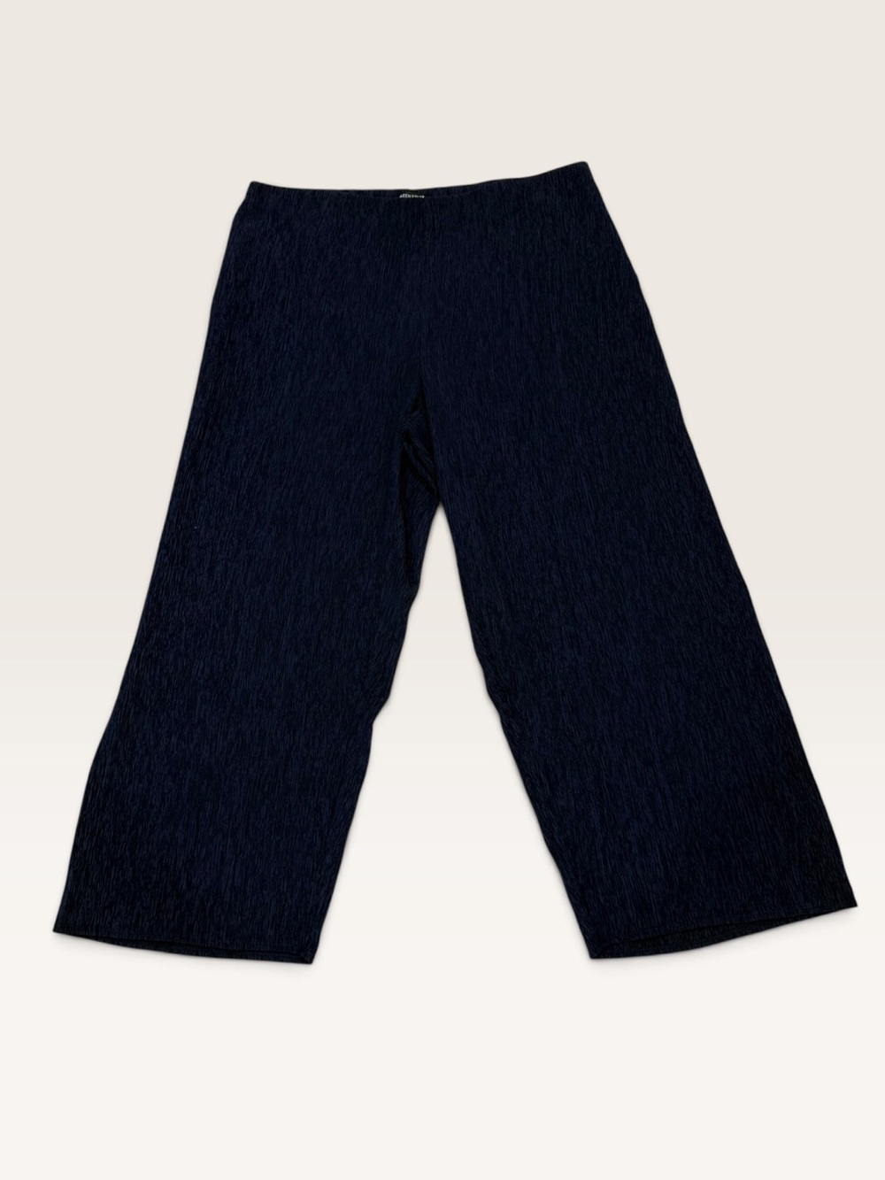 Eileen Fisher XL Midnight Textured Crinkle Woven Plisse Wide Leg Ankle Pants NWT